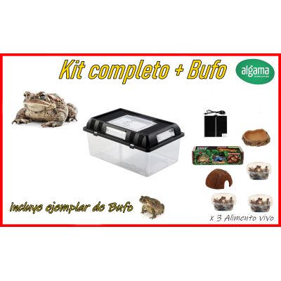 Kit completo + Bufo